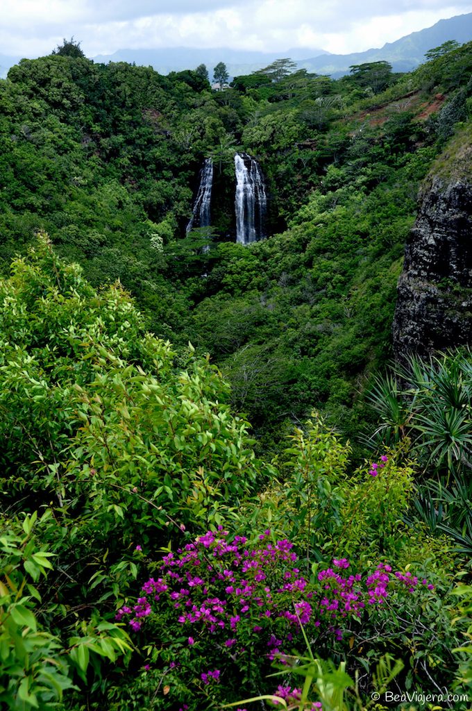 Kauai el lugar de Jurassic Park