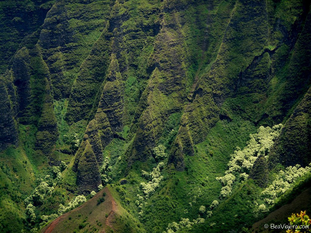 Kauai el lugar de Jurassic Park