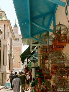 Túnez: medina mágica y pueblo azul