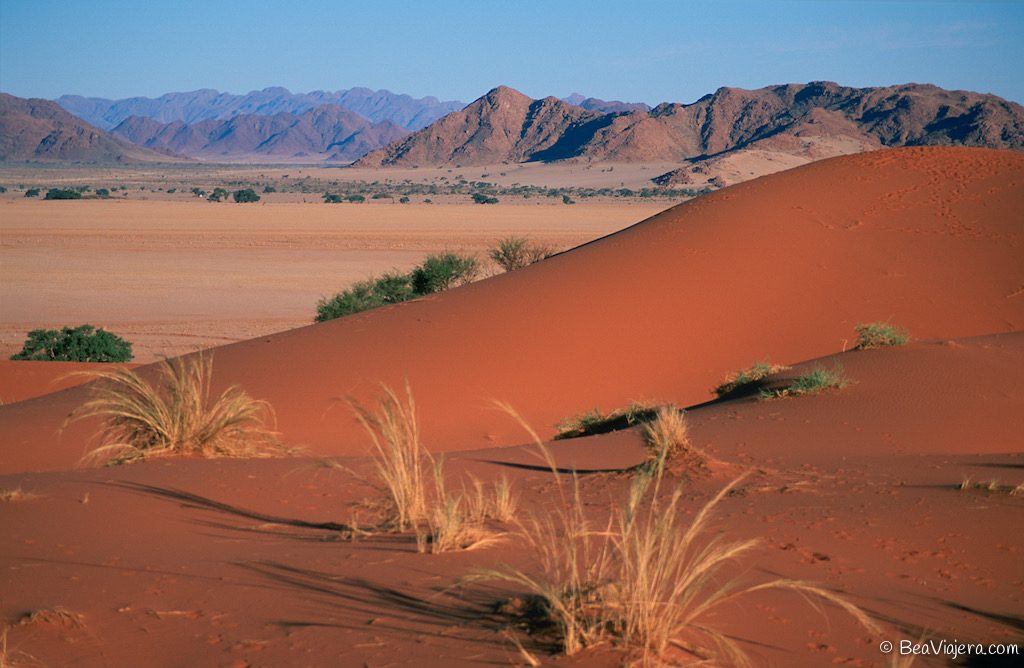 Namib, el desierto más antiguo del mundo