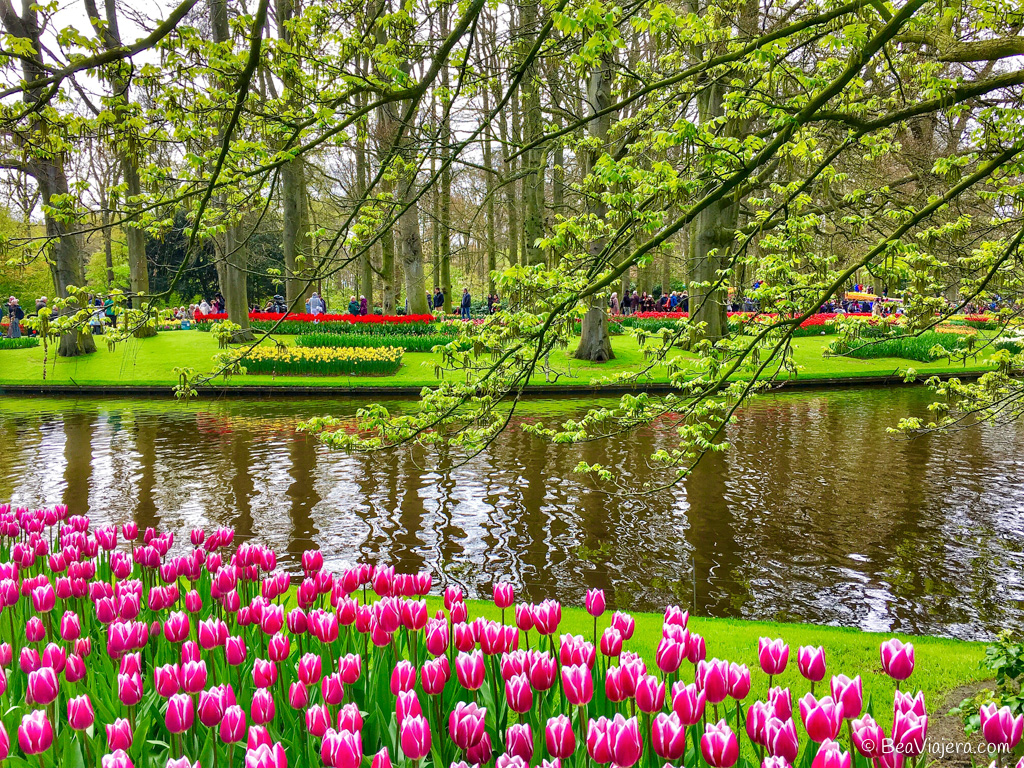 El jardín de tulipanes más grande del mundo en Holanda