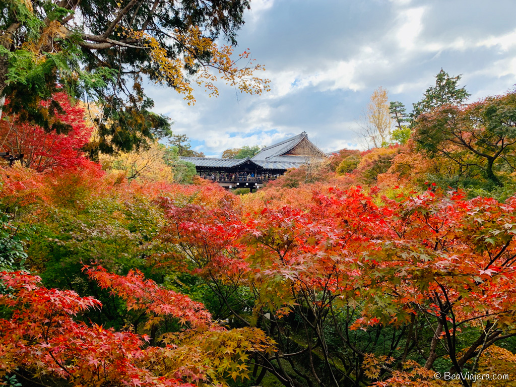 Momiji, el increíble otoño en Japón