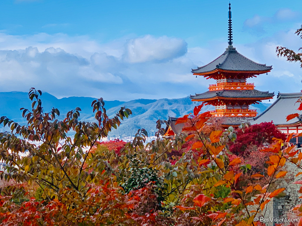 Momiji el increíble otoño en Japón