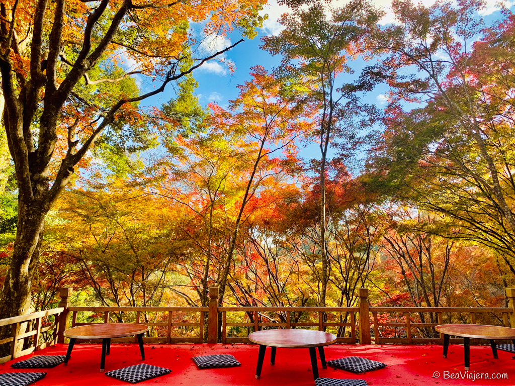 Momiji, el increíble otoño en Japón