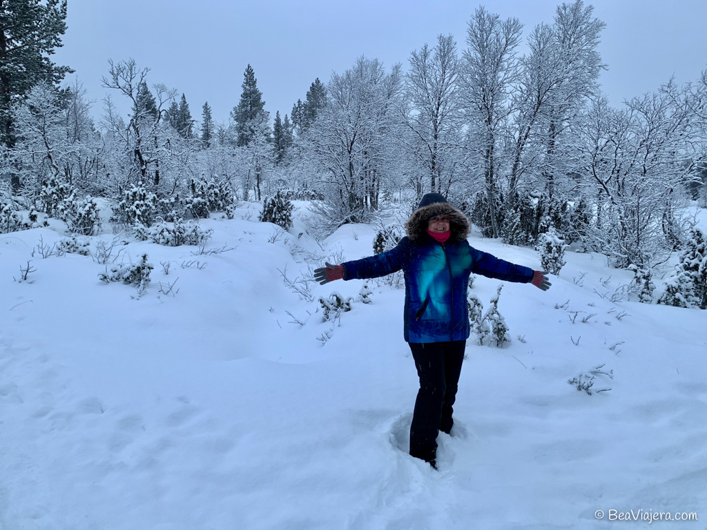 10 experiencias en la Laponia de Papá Noel
