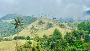 El Valle de Cocora en Colombia