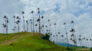 El Valle de Cocora en Colombia