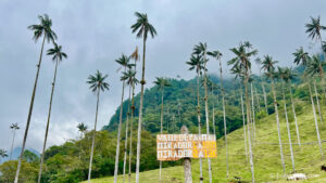 El Valle de Cocora en Colombia