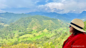 El Valle de Cocora en Colombia
