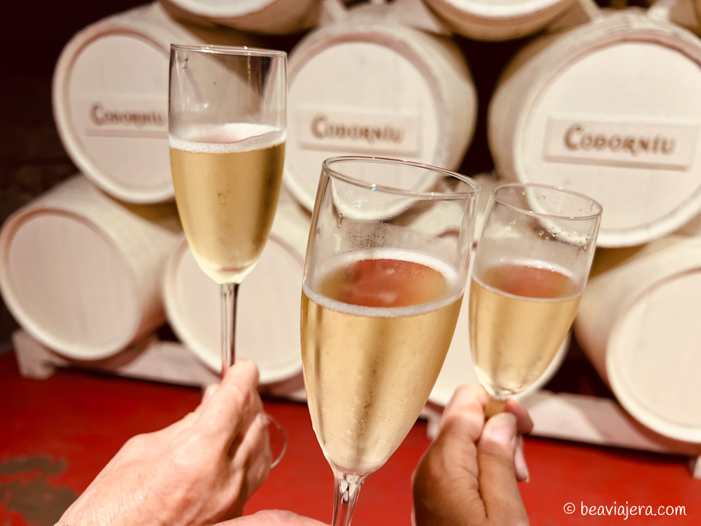 Cavas Codorníu: tradición y burbujas en el corazón del Penedès