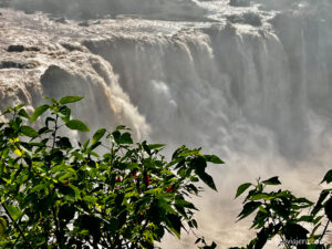 Cataratas de Iguazú, naturaleza sublime