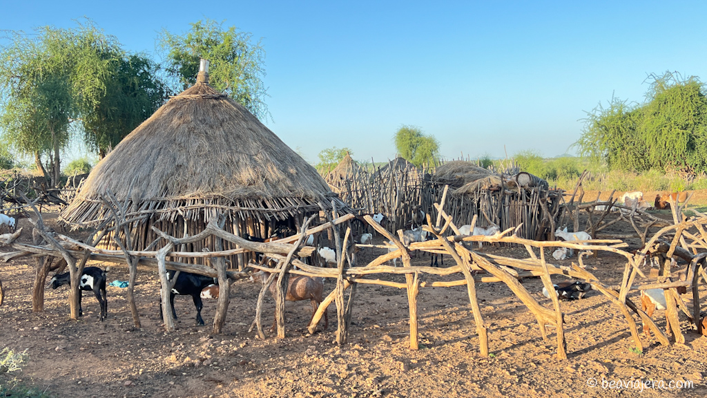 Viaje al Valle de Omo