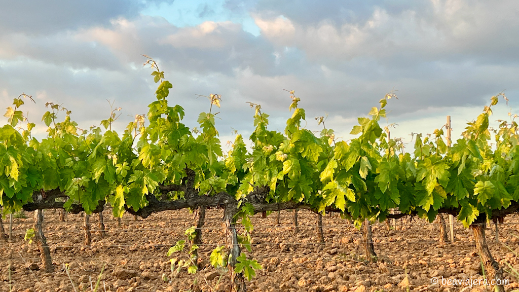 Comarca del Alt Penedès