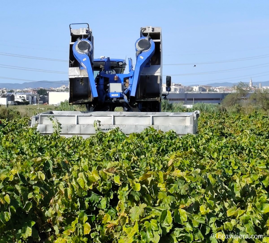 Comarca del Alt Penedès