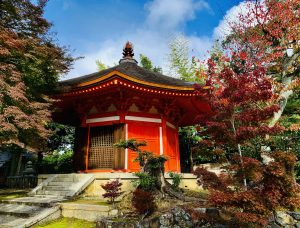 Viajar sola a Japón
