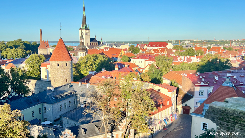 Tallin